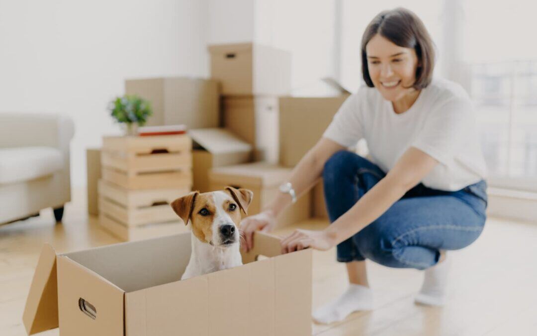Imagen destacada: VIVIENDAS PET FRIENDLY: LA NUEVA TENDENCIA EN EL MERCADO INMOBILIARIO